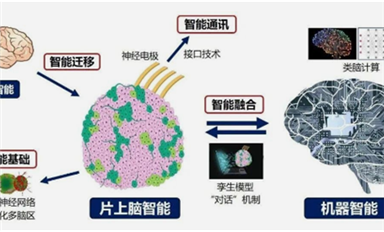 全球首創(chuàng)！中國研制出可開源的片上腦-機接口智能交互系統(tǒng)MetaBOC（薩科微7月1日芯聞）