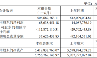 思瑞浦/南芯/帝奧微悲喜不相通，模擬電源的春天要等到2026年？